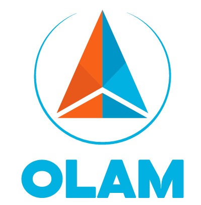 Logo OLAM SPA